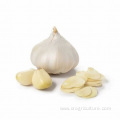 Top Grade Pure White Garlic Price